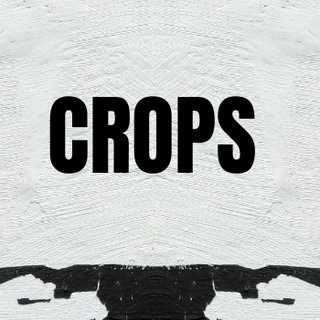 WOMENS CROPS